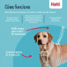 Imbracatura per Cani Company of Animals COBALT Azzurro 12