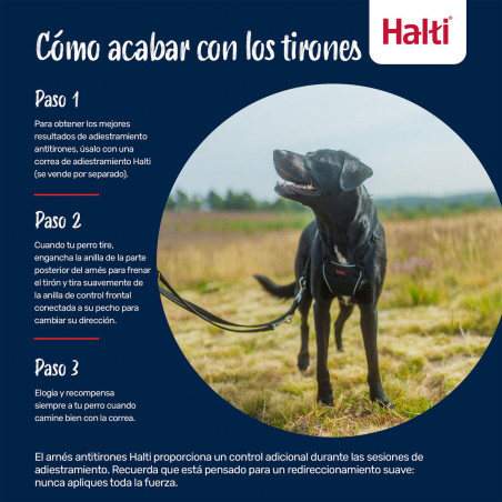 Harnais pour Chien Company of Animals COBALT Bleu 12