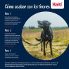 Harnais pour Chien Company of Animals COBALT Bleu 12