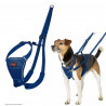 Dog Harness Company of Animals COBALT Blue 12
