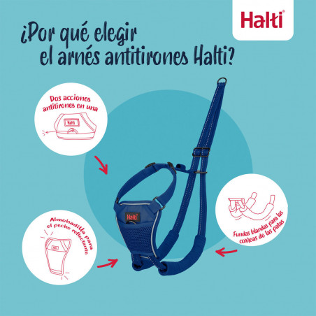 Arnês para Cães Company of Animals COBALT Azul 12