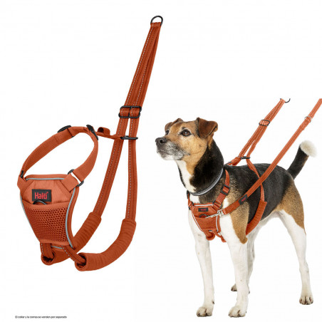 Dog Harness Company of Animals BURNT Orange 12