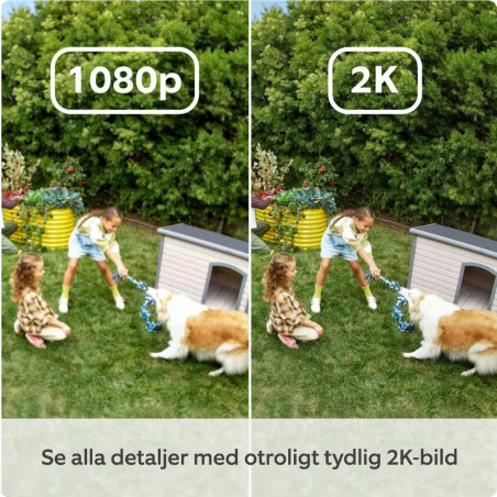 Videocamera di Sorveglianza Amazon B0D23Y1N3Y