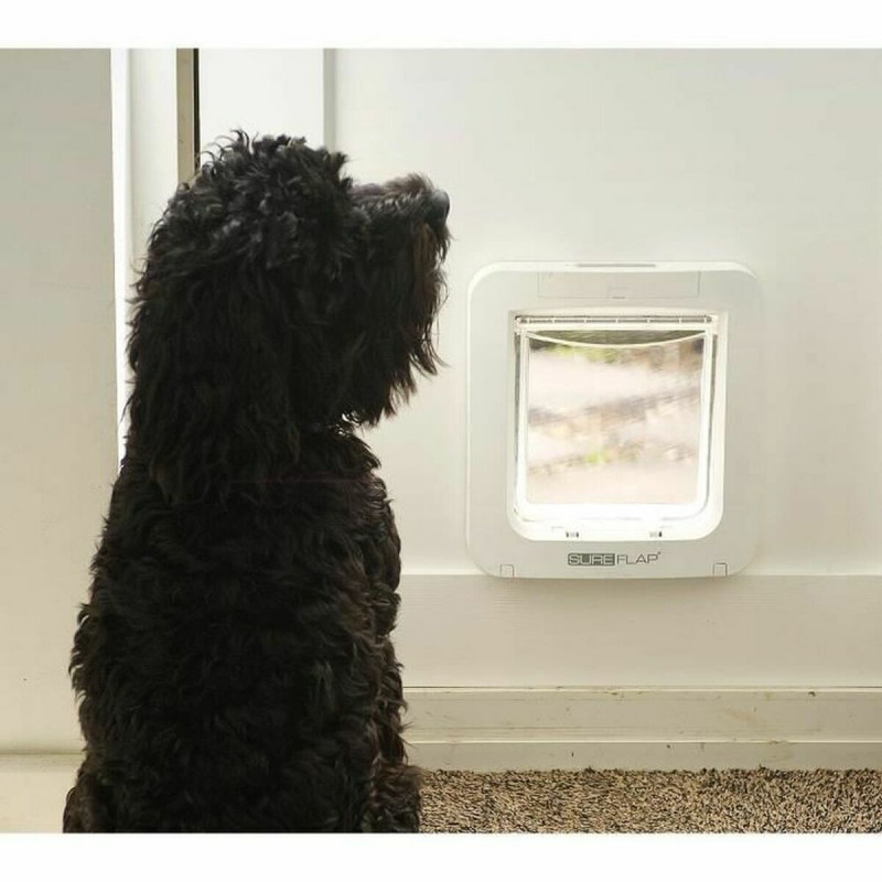 Gattaiola SureFlap SUR101 17,8 x 17 cm