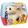 Jouet Peluche Little Live Pets Multicouleur