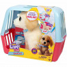 Fluffy toy Little Live Pets Multicolour