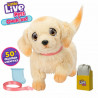 Peluche Little Live Pets Multicolor