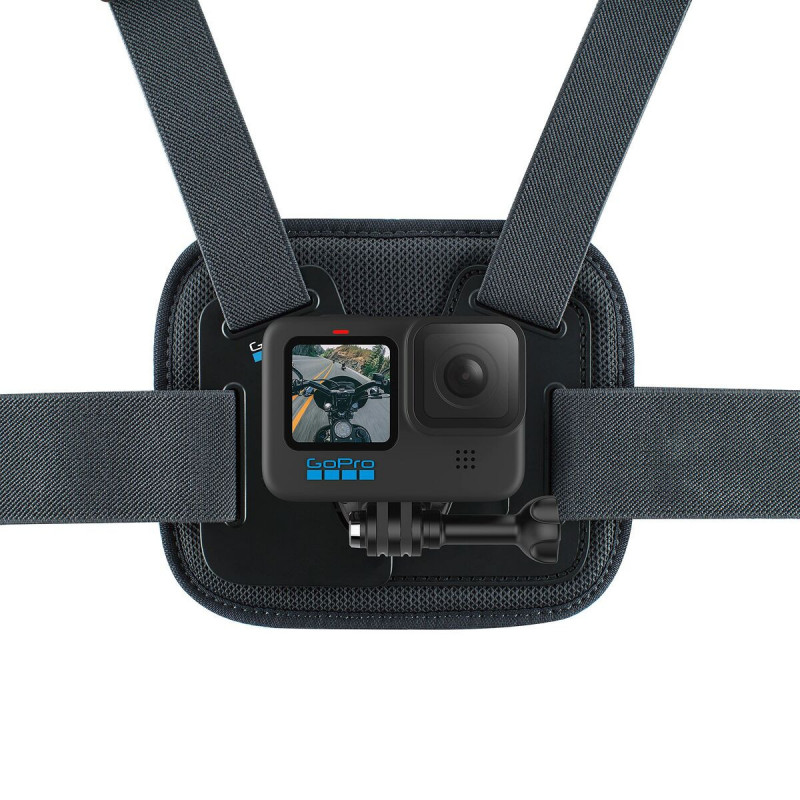 Camescope de surveillance GoPro CHESTY
