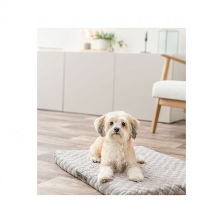 Matelas Trixie Vital Noah Gris clair 90 × 65 CM