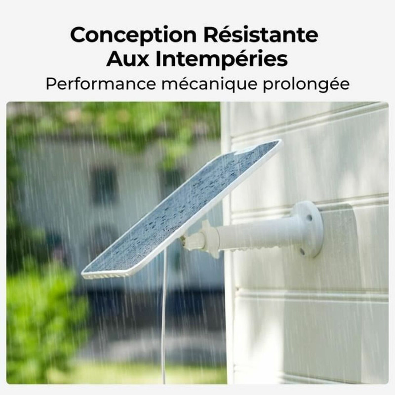 Videocamera di Sorveglianza Reolink