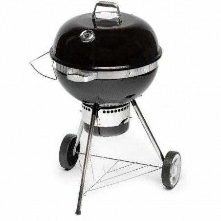 Barbecue Portable Fieldmann FZG 1017 Métal Acier