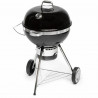 Barbacoa Portátil Fieldmann FZG 1017 Metal Acero