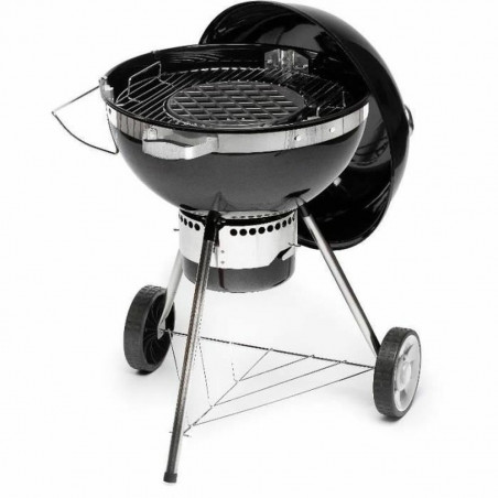 Barbacoa Portátil Fieldmann FZG 1017 Metal Acero