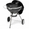 Barbecue Portatile Fieldmann FZG 1017 Metallo Acciaio