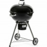 Barbacoa Portátil Fieldmann FZG 1016 Metal Acero