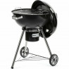 Barbecue Portatile Fieldmann FZG 1016 Metallo Acciaio