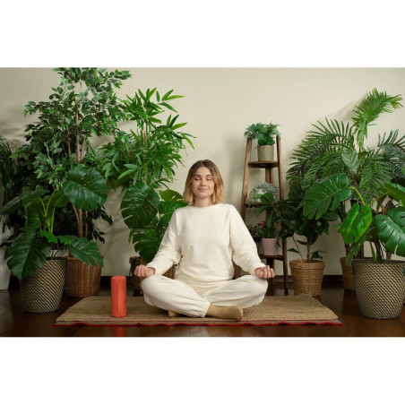 Haut-parleurs bluetooth portables Loewe Rouge