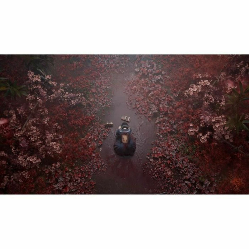 Jeu vidéo Xbox Series X Just For Games Silent Hill F