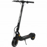 Electric Scooter Dualtron DOLPHIN Black 25 km/h 600 W