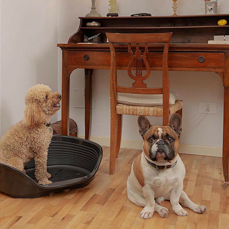 Cama para cão Ferplast Siesta Deluxe 6 Preto 70,5 x 52 x 23,5 cm
