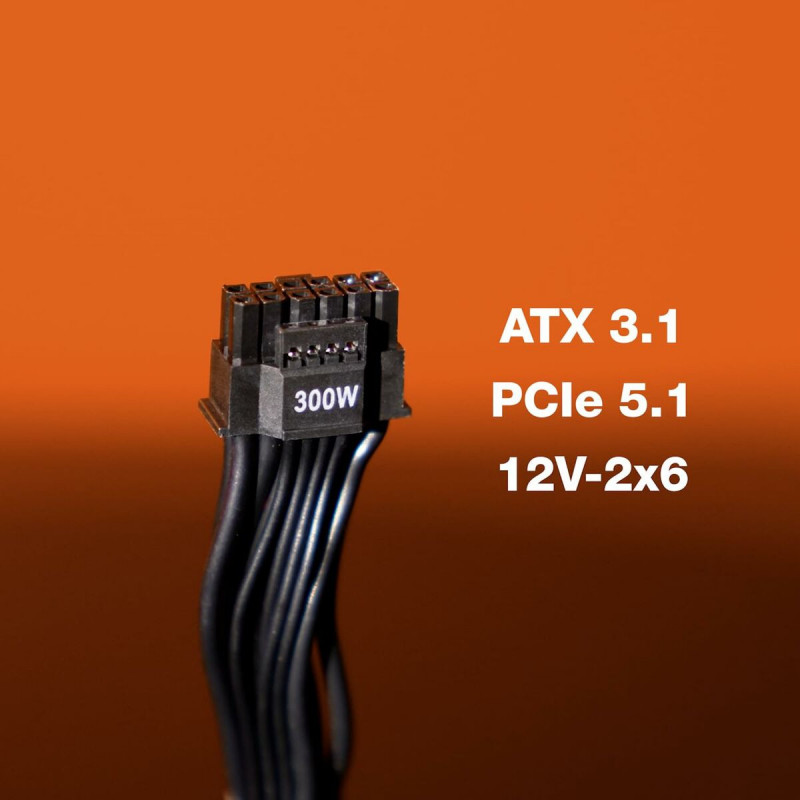 Fonte de Alimentação Be Quiet! BP003EU ATX 750 W 80 Plus Gold