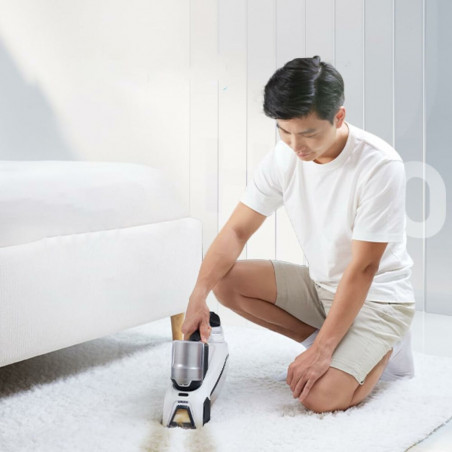 Handstaubsauger EZIclean SPOT REMOVER W100 60 W