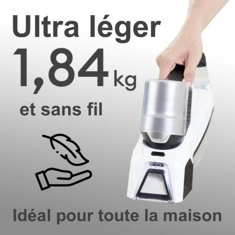 Handheld Hoover EZIclean SPOT REMOVER W100 60 W