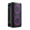 Portable Bluetooth Speakers Hisense Black 300 W