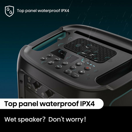 Altavoz Bluetooth Portátil Hisense Negro 300 W