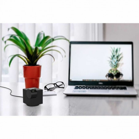 Videocamera di Sorveglianza LINK2HOME