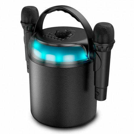 Altavoces Ledwood LD-PLAYKARAOKE