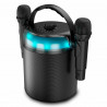 Speakers Ledwood LD-PLAYKARAOKE