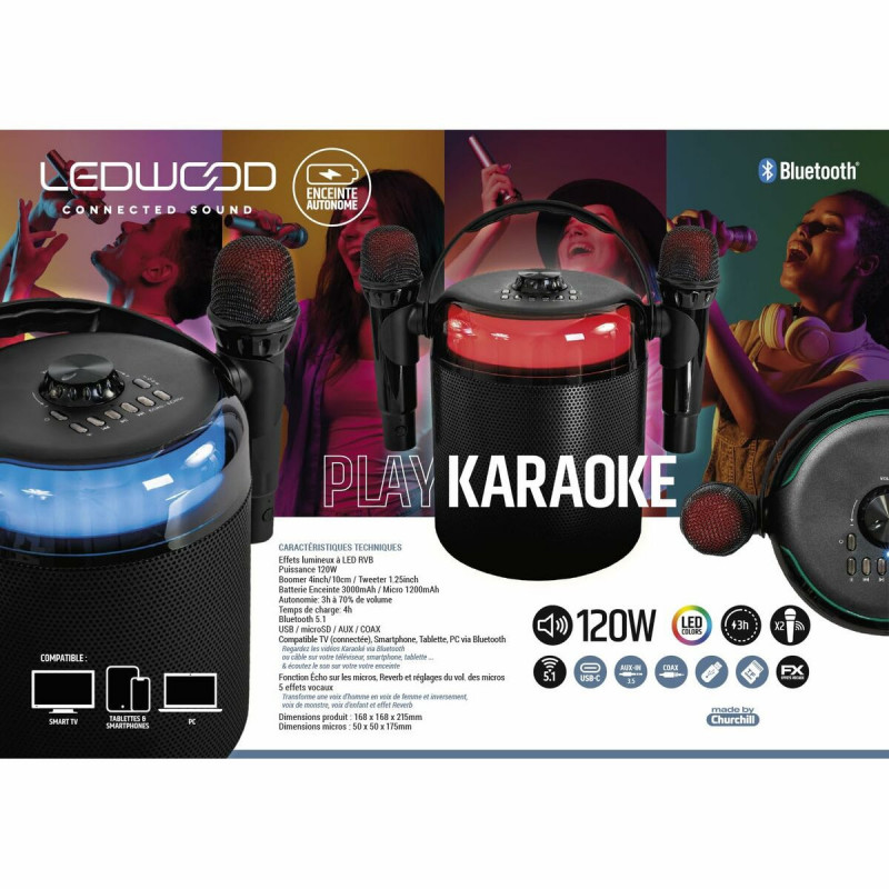 Lautsprecher Ledwood LD-PLAYKARAOKE
