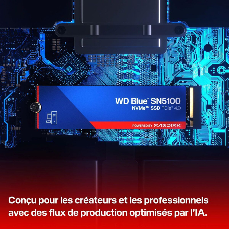 Festplatte Western Digital WDS100T5B0E 1 TB SSD