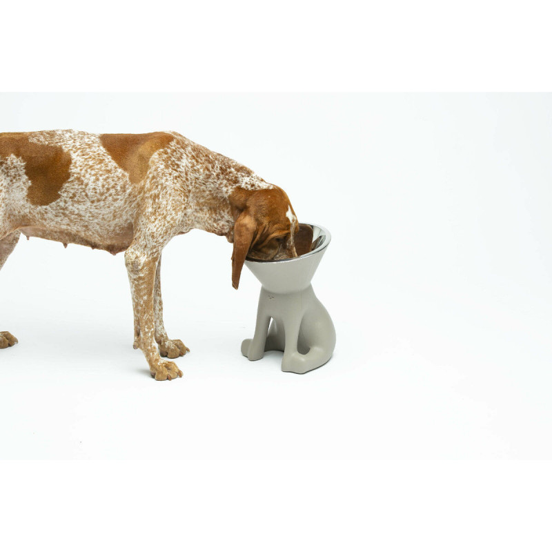 Comedouro para Cão United Pets Up Elisabeth Cinzento Aço inoxidável Polietileno 1 L