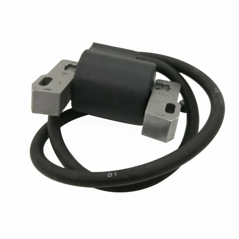 Chiodatrice Elettrica Rapid Legno Professionale