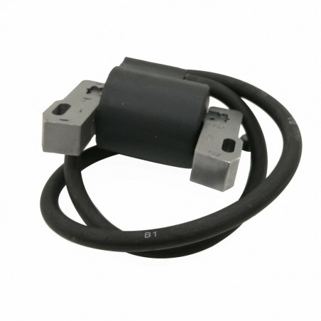 Clavadora Eléctrica Rapid Madera Profesional