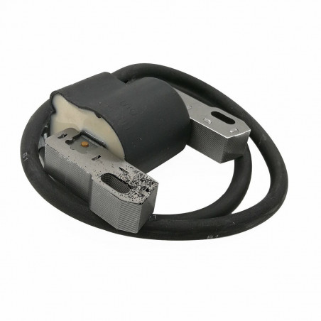 Chiodatrice Elettrica Rapid Legno Professionale