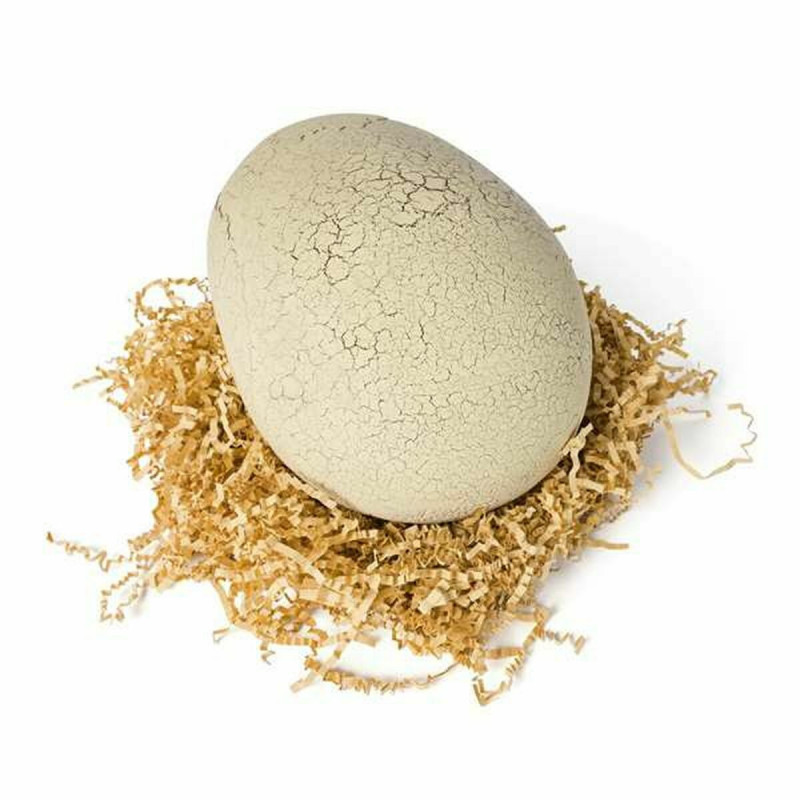 Dinosaur Jurassic World T-Rex 22 x 24 x 33 cm