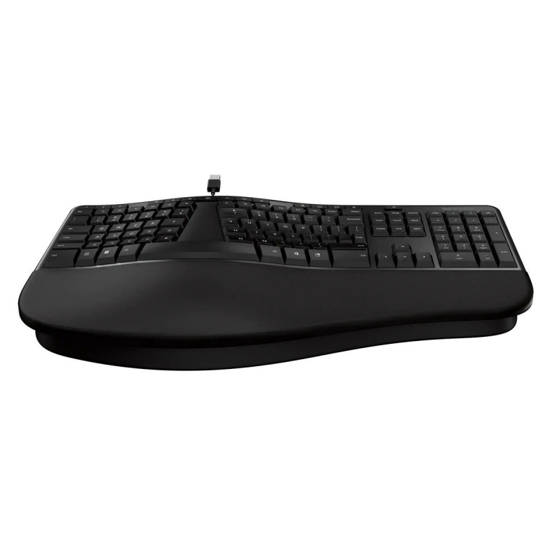 Tastatur Incase LXM-00008 Schwarz Qwerty Spanisch Qwerty US