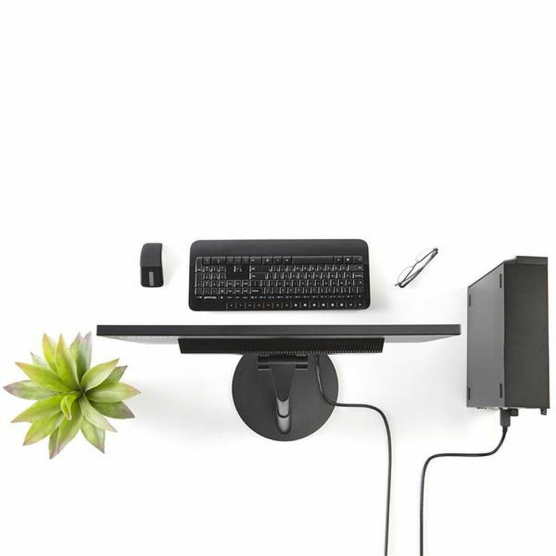 Adaptador DisplayPort para adaptador DVI Startech DP2DVI2MM6 (1,8 m) Preto 1.8 m