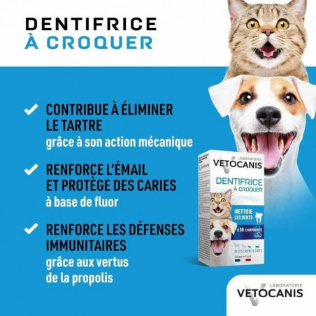 Toothpaste Vetocanis Cat