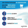 Dentifrice Vetocanis Chat
