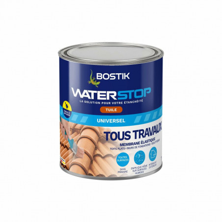 Silicone Bostik