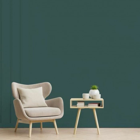 Primer Paint Ripolin Vert Matt