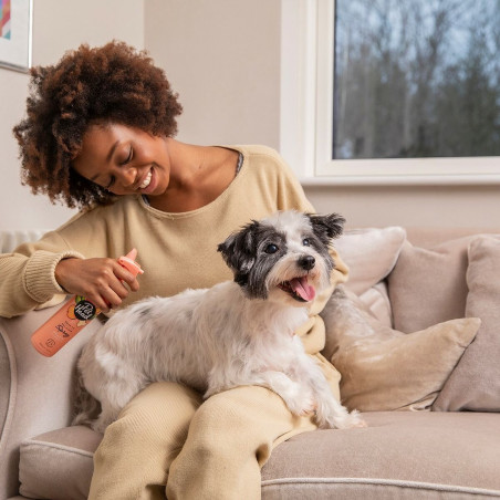 Espuma de Limpeza Pet Head Quick Fix Pêssego 200 ml Cão