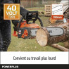 Motosserra a Bateria Powerplus 35 cm