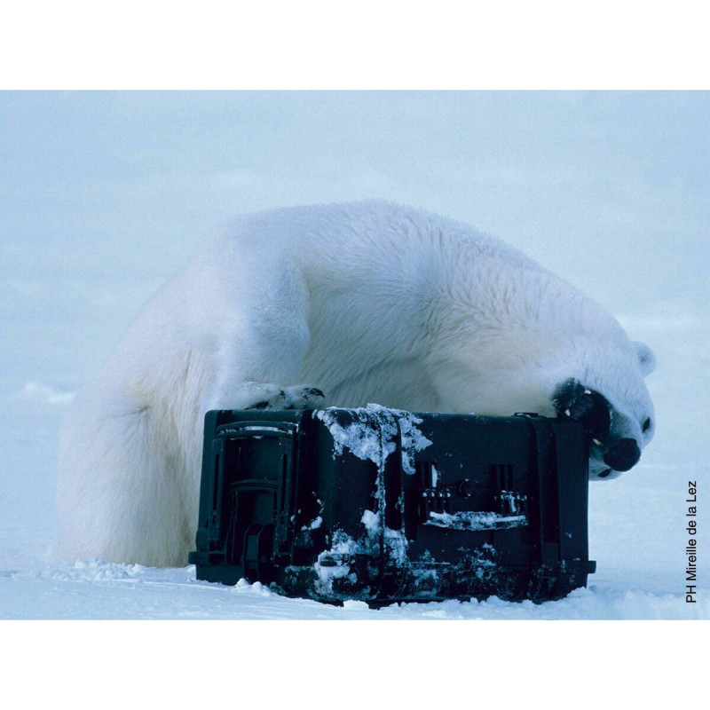 Tool Case GT Line EXPLORER 5122 Foam 54,6 x 34,7 x 24,7 cm