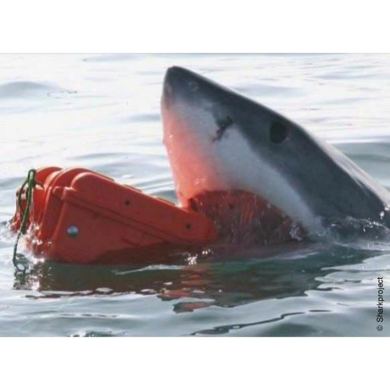 Caixa de Ferramentas GT Line EXPLORER 5122 Espuma 54,6 x 34,7 x 24,7 cm