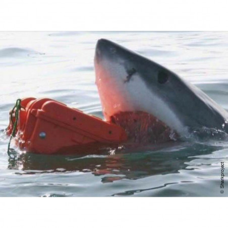 Werkzeugsatz GT Line EXPLORER 7641 86 x 55 x 43,5 cm Metall Polypropylen 59 L